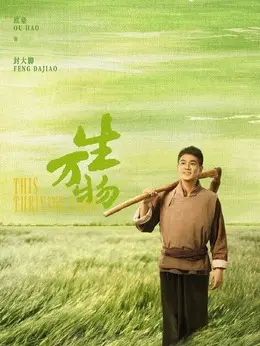 封大脚（欧豪饰演）