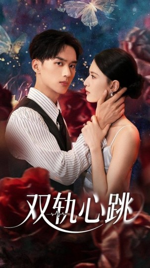 双轨心跳封面图