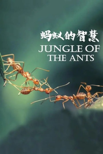Im Regenwald der tropischen Ameisen,Jungle of the Ants封面图
