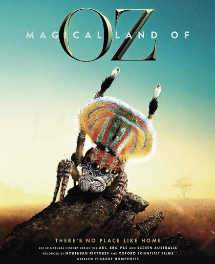 Magical Land of Oz,仙境之地封面图
