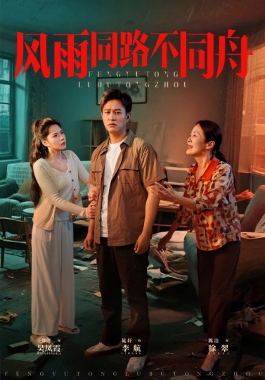 风雨同路不同舟封面图