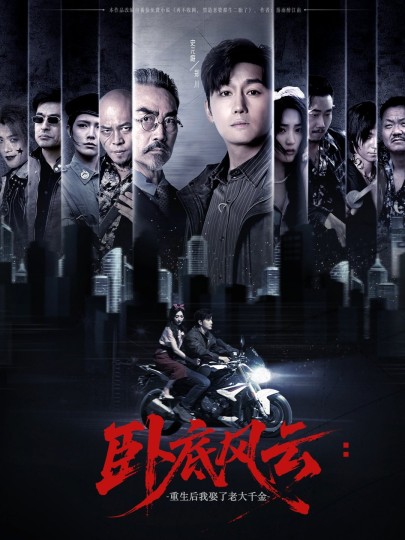 卧底风云：重生后我娶了老大千金封面图