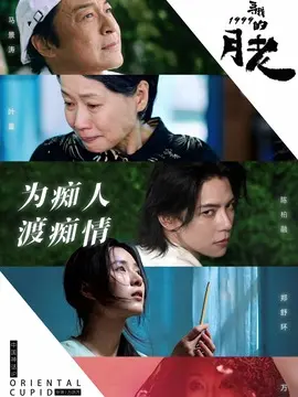 寻找1999的月老简介封面图