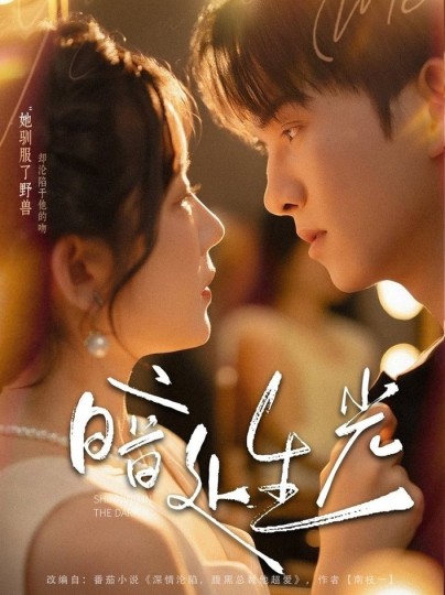 暗处生光封面图