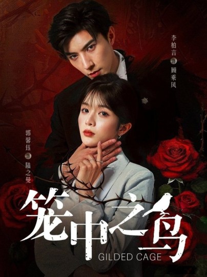 笼中之鸟封面图