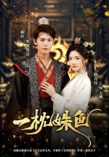 一枕姝色封面图