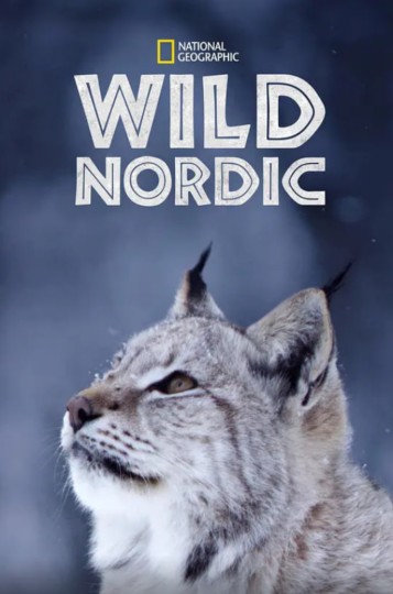 Scandinavia selvaggia(意)封面图