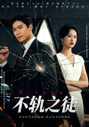 不轨之徒封面图