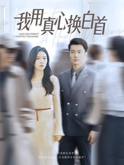 我用真心换白首封面图