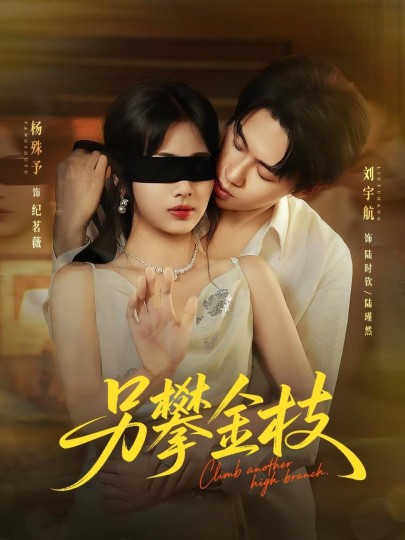 另攀金枝封面图