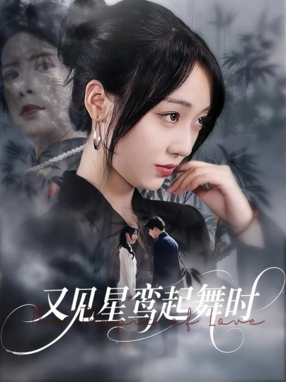 又见星鸾起舞时封面图