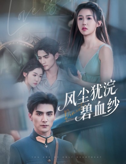 风尘犹浣碧血纱封面图
