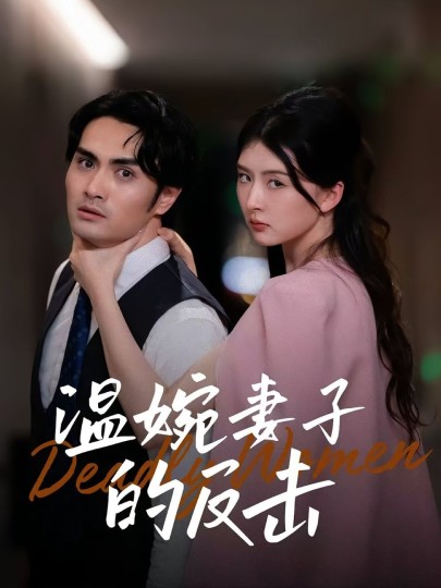 温婉妻子的反击封面图