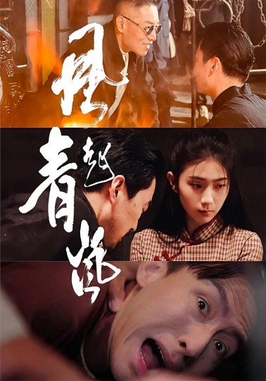 风起青岚封面图