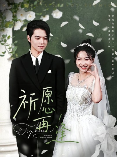 祈愿再逢封面图