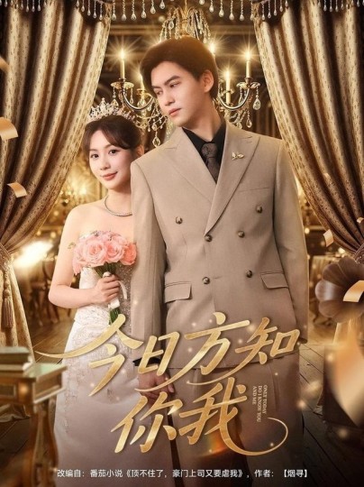 今日方知你我封面图