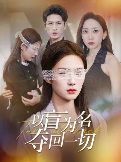 以盲为名夺回一切封面图