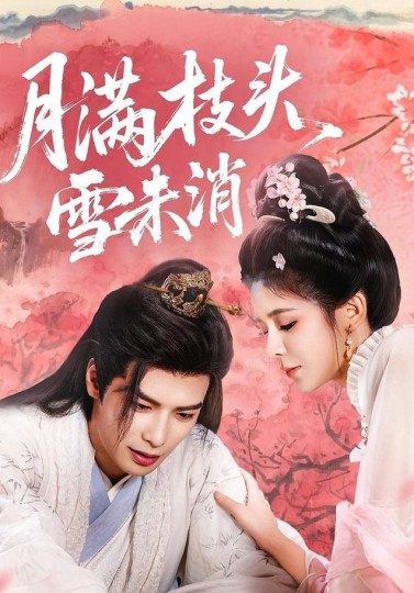 月满枝头雪未消封面图