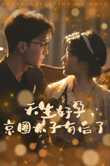 你与光共落人间封面图