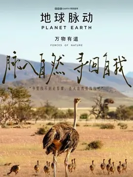 地球脉动：万物有道简介封面图