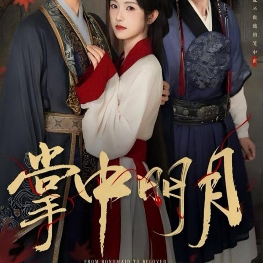 掌中明月封面图