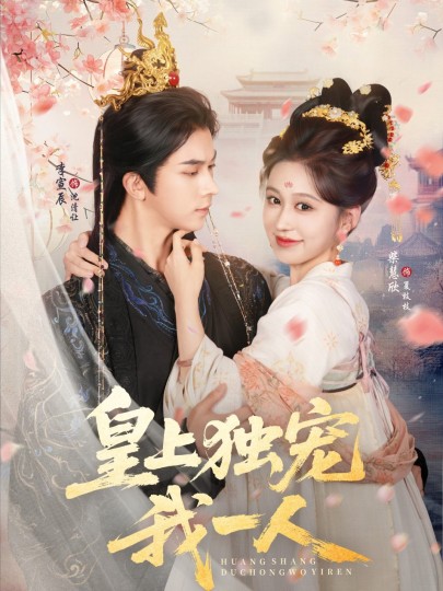 皇上独宠我一人封面图