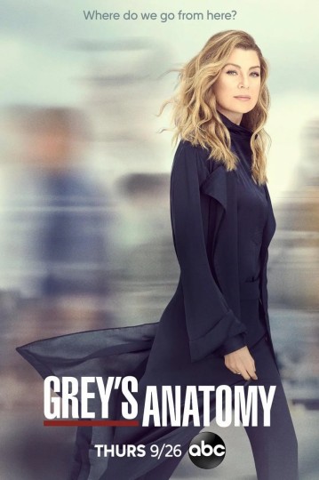 Grey's Anatomy Season 16封面图
