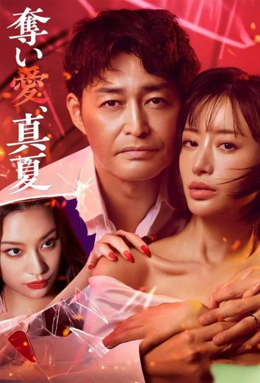 夺爱，真夏封面图