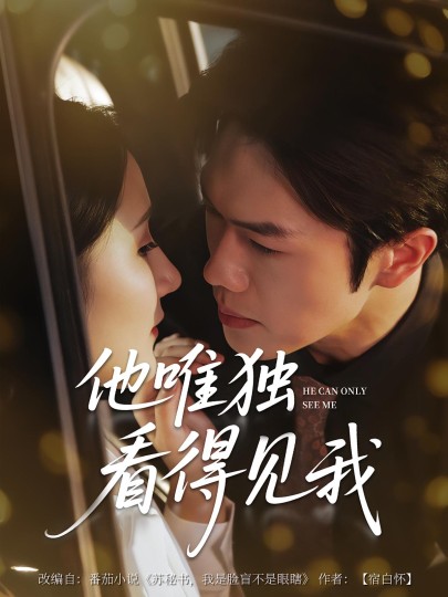 他唯独看见我封面图