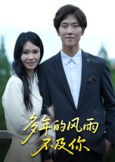 多年的风雨不及你封面图