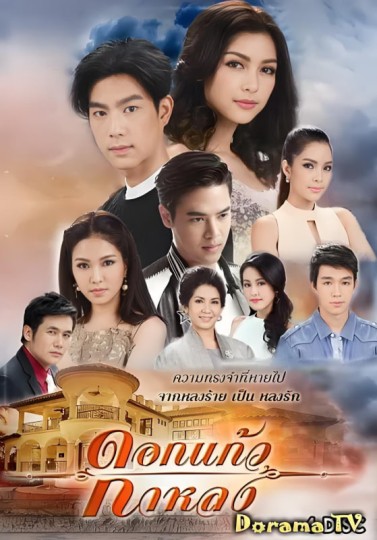 走失的晶花封面图