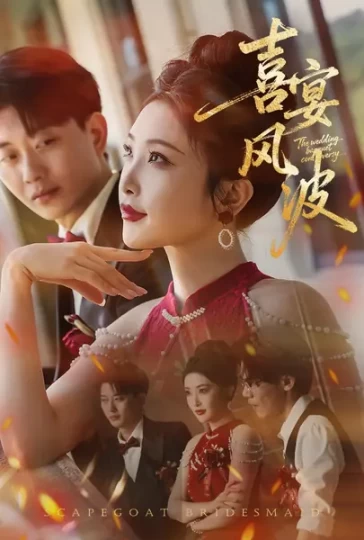 喜宴风波&替罪伴娘封面图
