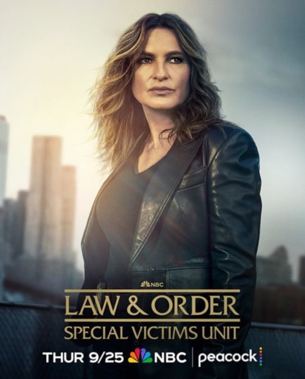 Law & Order: SVU封面图