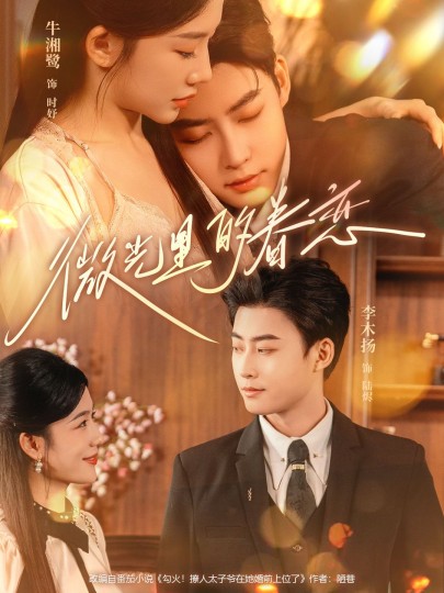 微光里的眷恋封面图