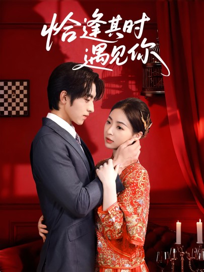 恰逢其时遇见你封面图