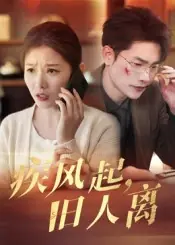 疾风起，旧人离封面图