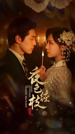 夜色缠枝封面图