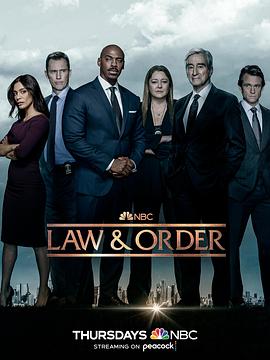 Law &amp; Order Season 22封面图