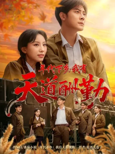 年代下乡：我有天道酬勤封面图