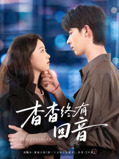 杳杳终有回音封面图