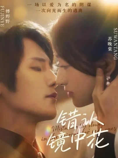 错认镜中花封面图