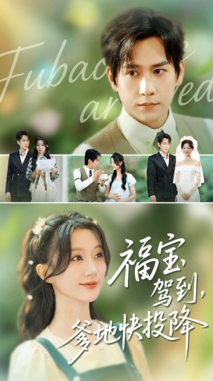 福宝驾到，爹地快投降封面图