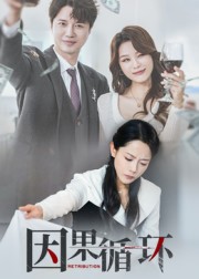 因果循环封面图