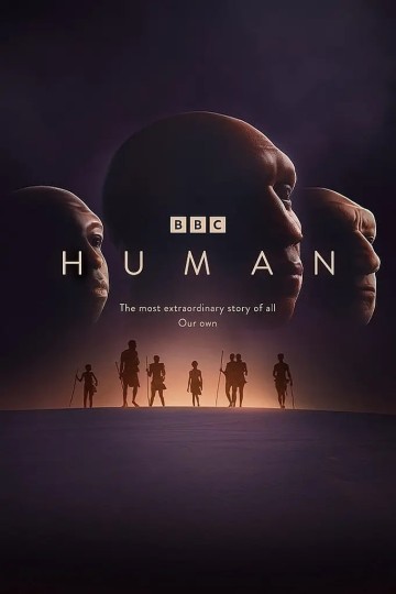 Human: The Untold Story of Our Human Origins封面图