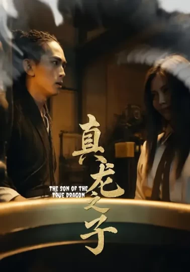 真龙之子&灵途&龙娘封面图