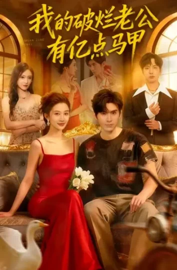 我的破烂老公有亿点马甲封面图