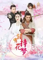 错有持花梦封面图