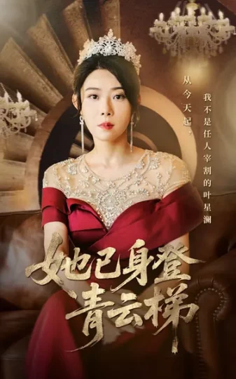 她已身登青云梯封面图