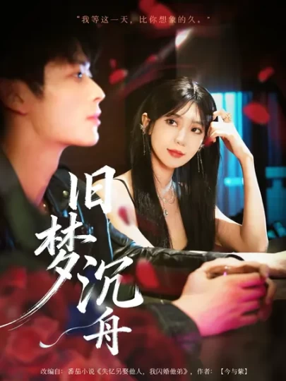 旧梦沉舟封面图