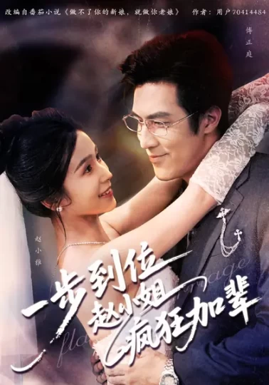 一步到位赵小姐疯狂加辈封面图